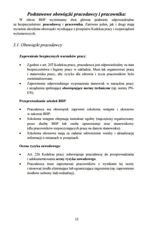 E-book - Podstawy BHP - obrazek 6